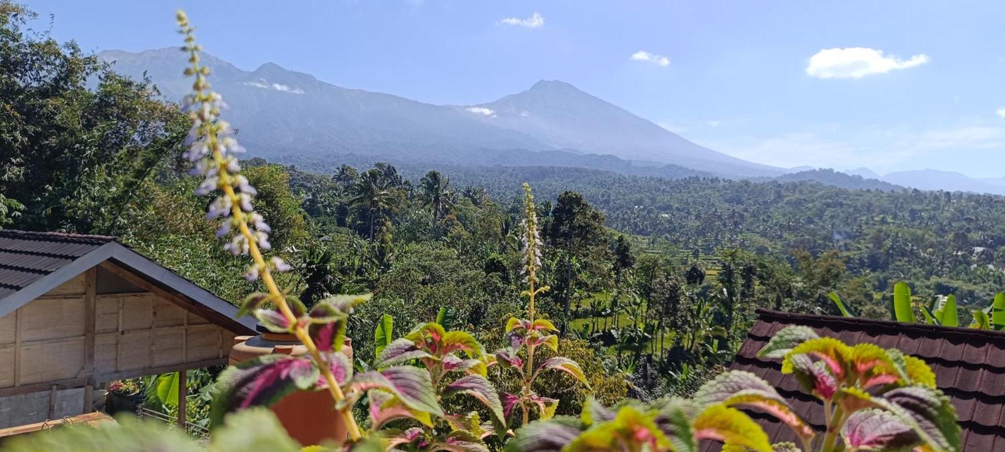 Tetebatu Terrace Homestay ภายนอก รูปภาพ