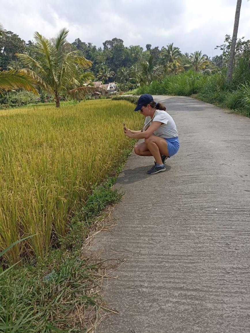 Tetebatu Terrace Homestay ภายนอก รูปภาพ
