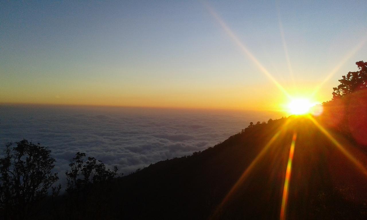 Tetebatu Terrace Homestay ภายนอก รูปภาพ
